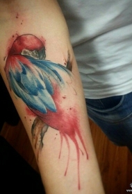小臂泼墨彩色鹦鹉纹身图案