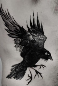 侧腰欧美写实乌鸦tattoo图案