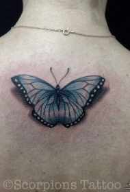 背部经典蝴蝶彩色纹身图案
