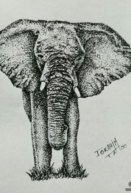 欧美大象点刺纹身图案手稿