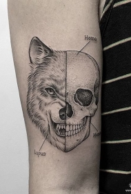 大臂邪恶的狼头骷髅纹身tattoo图案