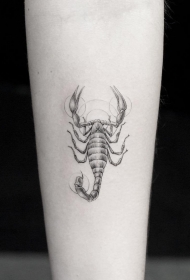 小臂欧美精美的蝎子纹身图案