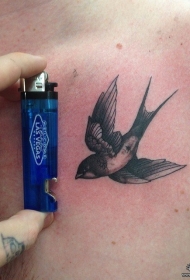 欧美school好看的小燕子纹身图案