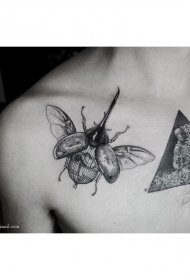肩部甲虫三角几何纹身图案