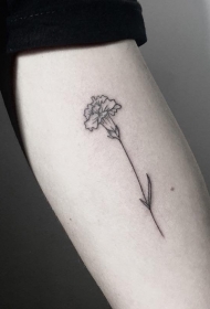 大臂小清新欧美花卉纹身图案