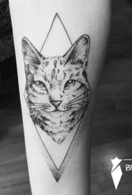 小臂可爱的猫几何点刺纹身图案