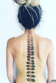 女生背部脊柱树叶纹身图案