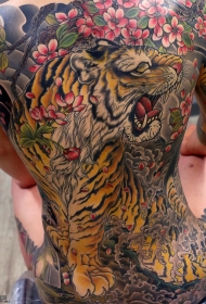 彩绘好看的满背桃花老虎个性纹身图案