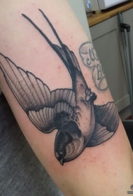 大臂欧美黑灰燕子纹身图案