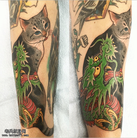 日式传统纹身猫和青龙彩绘纹身图案