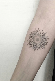 小臂花卉点刺线条小清新纹身图案