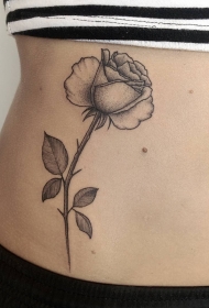 女生腹部玫瑰点刺纹身tattoo图案