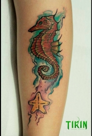 小腿海马海星泼墨水彩纹身图案