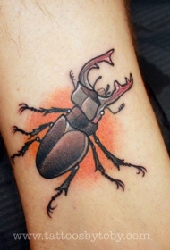 new school甲虫tattoo图案