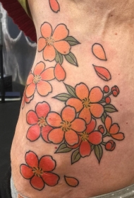 腹部彩色的樱花纹身图案