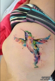 背部彩色泼墨蜂鸟纹身图案