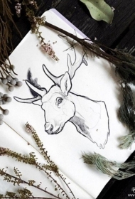 小清新麋鹿头像纹身图案手稿
