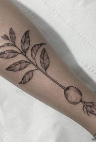 小腿生长的萝卜纹身tattoo图案