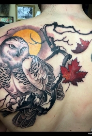 背部欧美school猫头鹰树枝枫叶月亮纹身图案