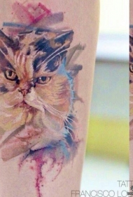 小臂猫彩色欧美纹身图案