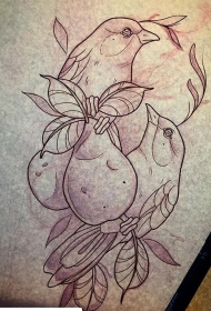 欧美小鸟水果梨纹身图案手稿