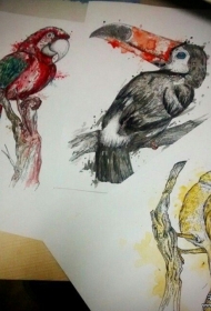 欧美泼墨鹦鹉彩色纹身图案手稿