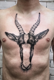 胸部欧美角马头像点刺纹身图案