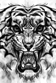 老虎头像纹身图案手稿