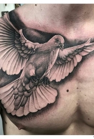 半甲欧美写实鸽子纹身tattoo图案