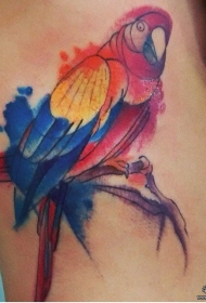 侧腰彩色鹦鹉泼墨纹身图案
