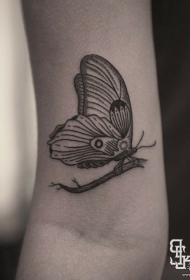 大臂欧美点刺线条蝴蝶纹身图案