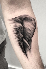 小臂写实大象黑灰纹身图案