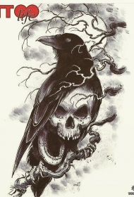 school乌鸦骷髅纹身图案手稿