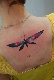 背部欧美星空蜻蜓纹身图案
