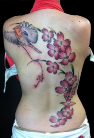 背部粉红色的山茱萸花和小鸟纹身图案