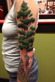 非常写实的彩色美洲大树手臂纹身图案