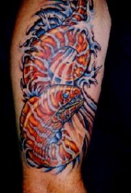 腿上的七彩海底动物纹身图案