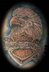 美国鹰和哈雷戴维森标志纹身图案