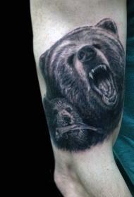 手臂野生的棕熊家庭写实纹身图案