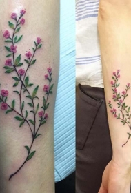 娇嫩的粉红色小花朵树枝手臂纹身图案