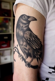 old school黑色的乌鸦树手臂枝纹身图案