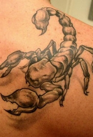 3d蝎子黑灰肩部纹身图案