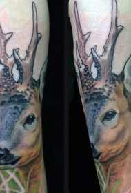 天然的彩色小鹿手臂纹身图案