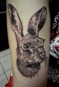 雕刻风格黑色线条可爱的兔子手臂纹身图案
