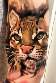 非常漂亮的彩色野猫手臂纹身图案