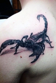 3D逼真华丽的黑白蝎子背部纹身图案