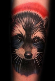 可爱漂亮的浣熊手臂纹身图案
