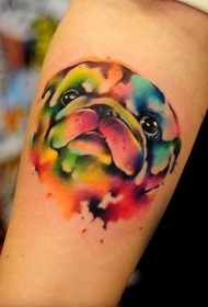 手臂上的抽象风格彩色狗纹身图案