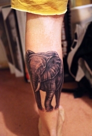 漂亮的黑白写实大象小腿纹身图案