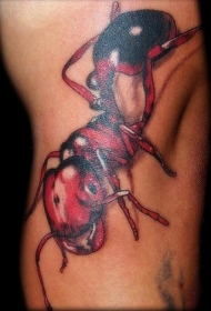红色的3D蚂蚁纹身图案